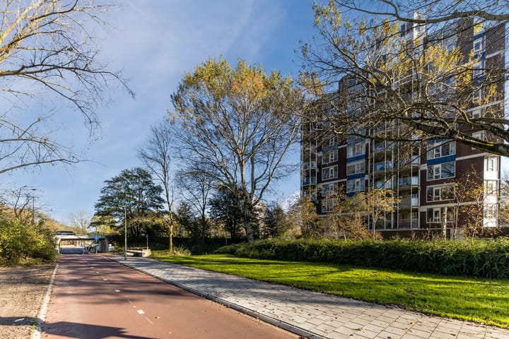 Foto 32 van Logger 26