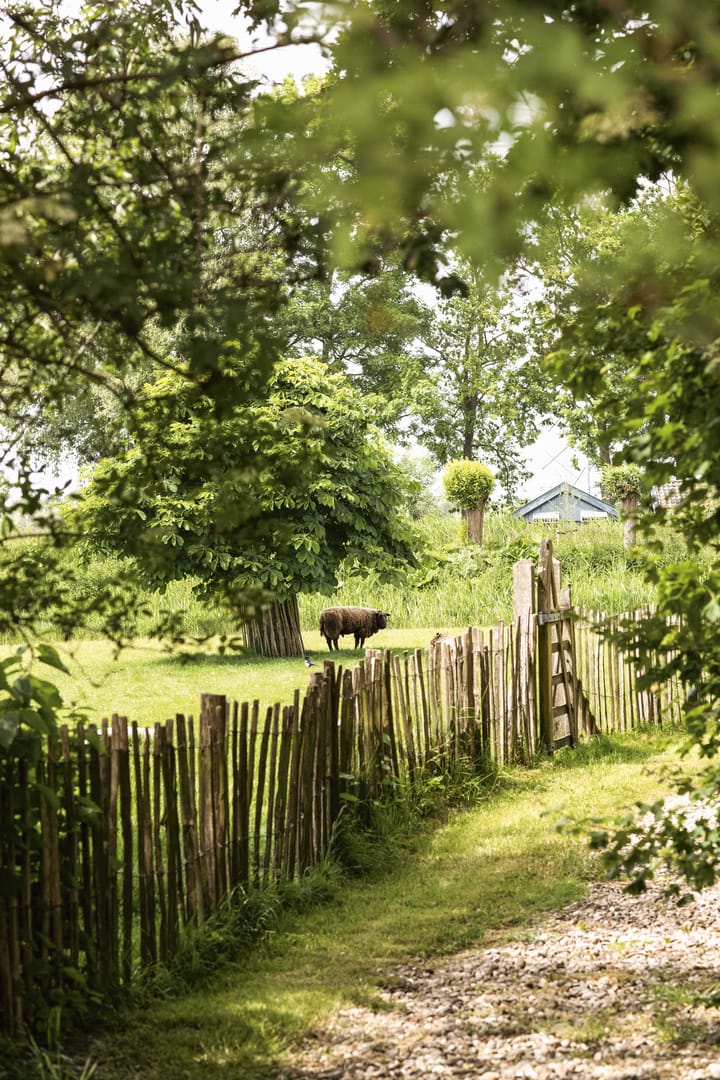 Photo 37 of Gein-Zuid 52