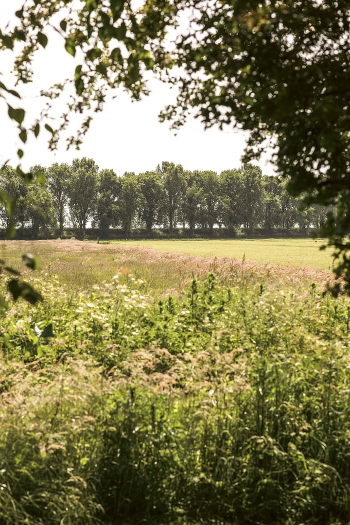 Photo 39 of Gein-Zuid 52