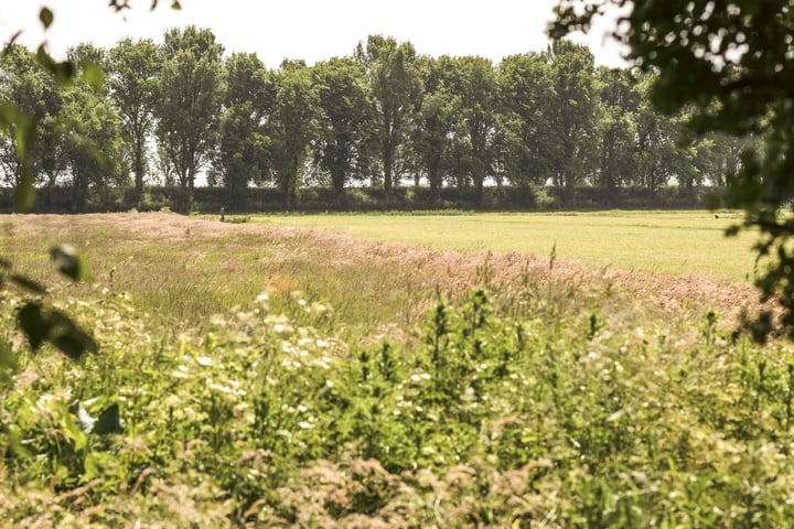 Foto 39 van Gein-Zuid 52