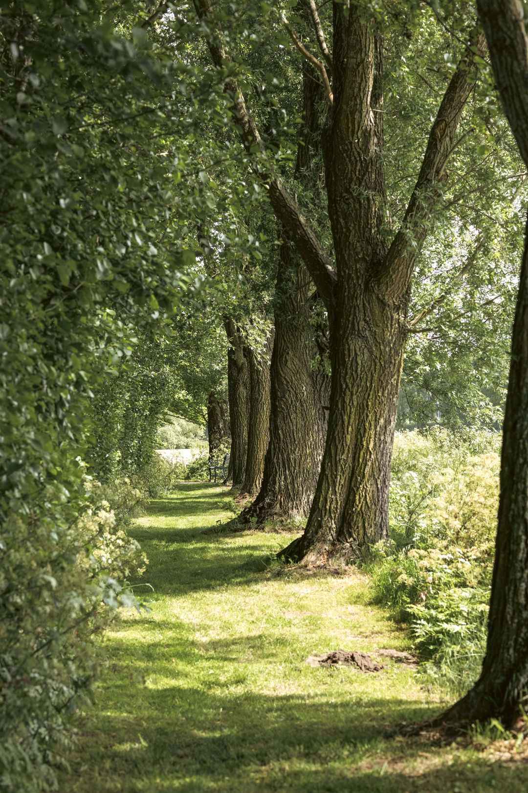 Foto 43 van Gein-Zuid 52