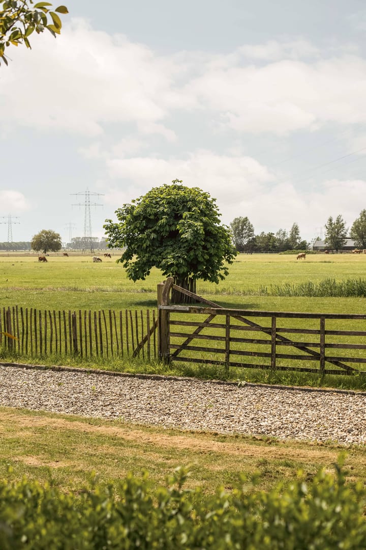 Photo 41 of Gein-Zuid 52