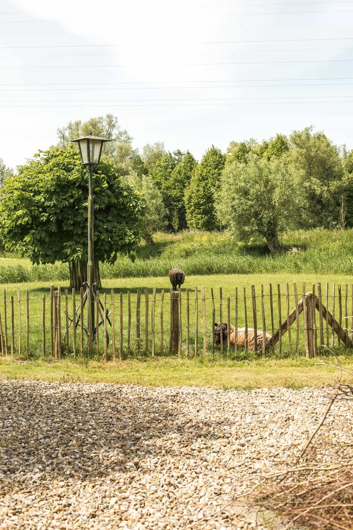 Photo 42 of Gein-Zuid 52