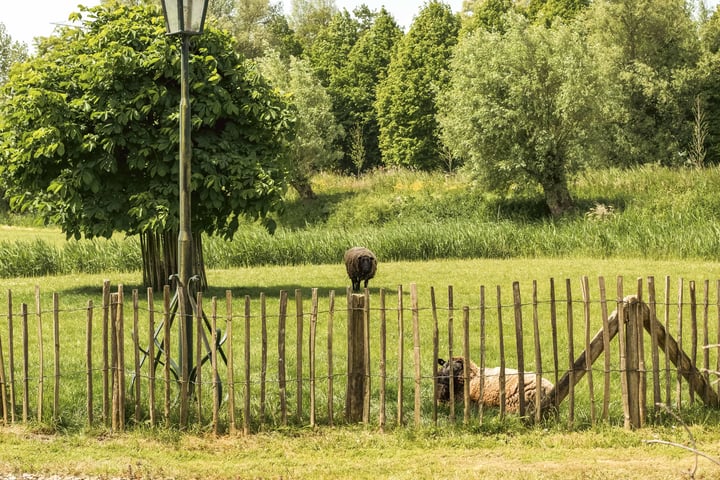 Foto 42 van Gein-Zuid 52