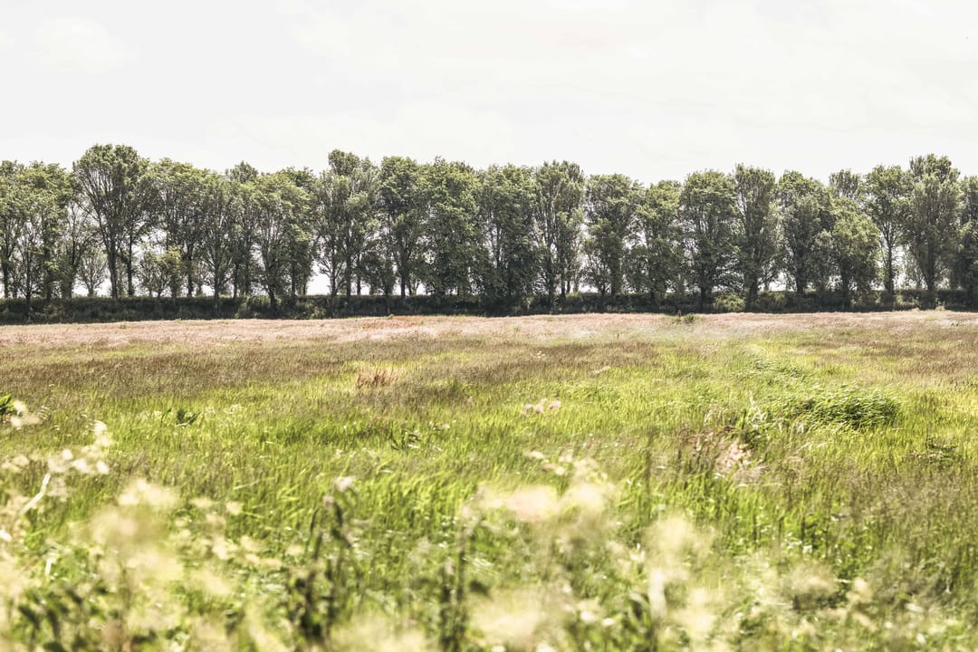 Foto 47 van Gein-Zuid 52