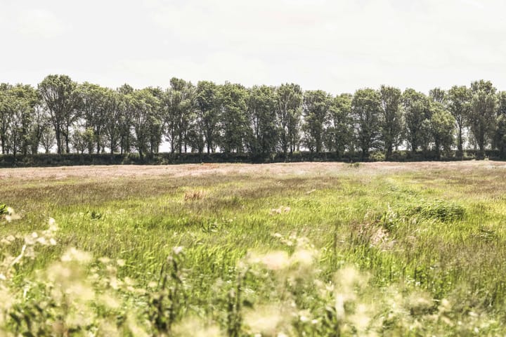 Photo 44 of Gein-Zuid 52