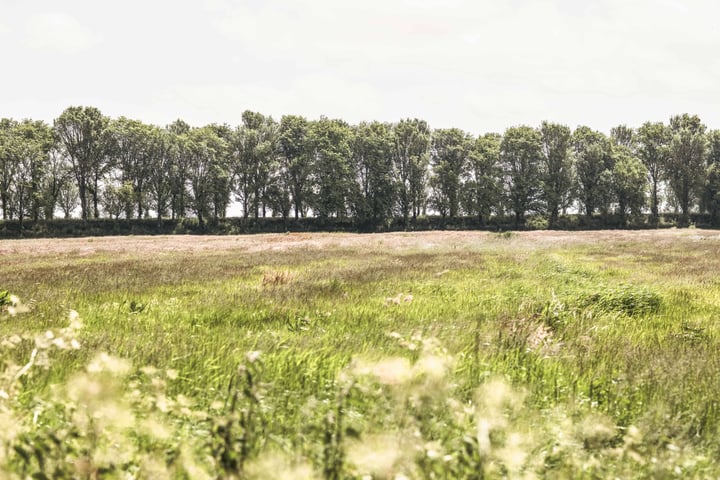 Foto 44 van Gein-Zuid 52
