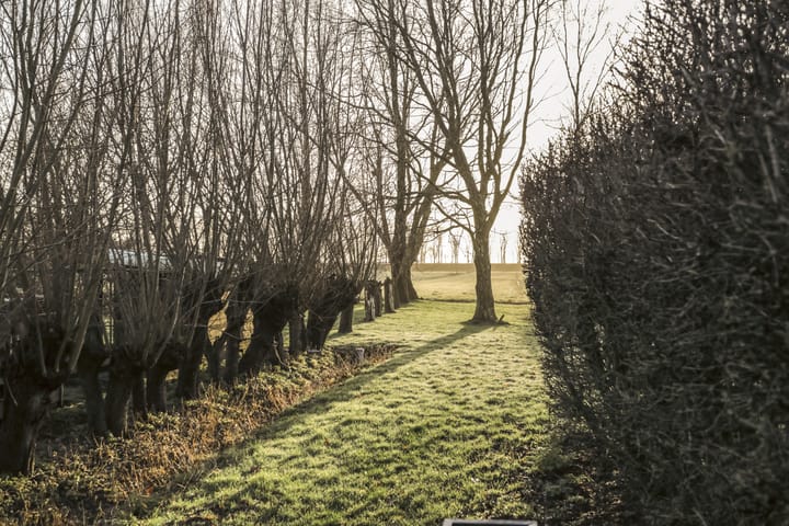 Photo 45 of Gein-Zuid 52