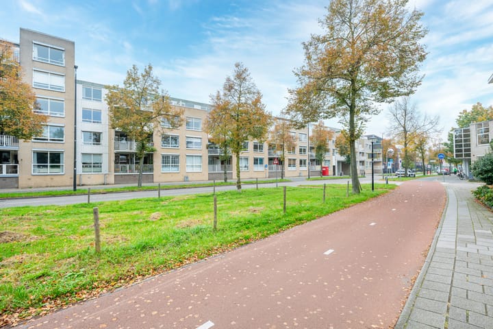 Foto 26 van Montaubanstraat 117