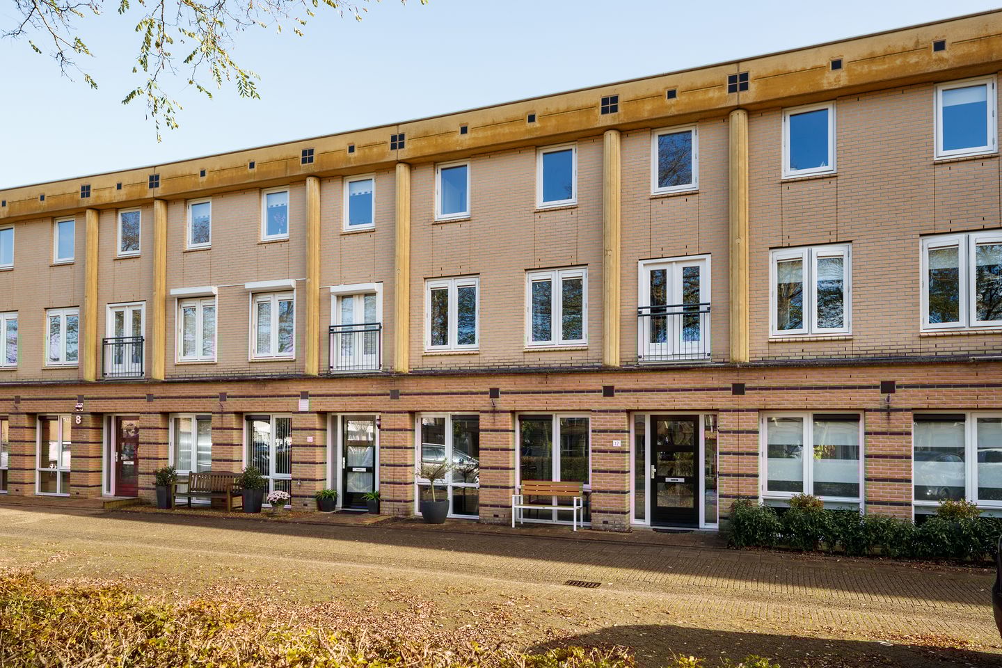 Foto 1 van Fluweelmos 12