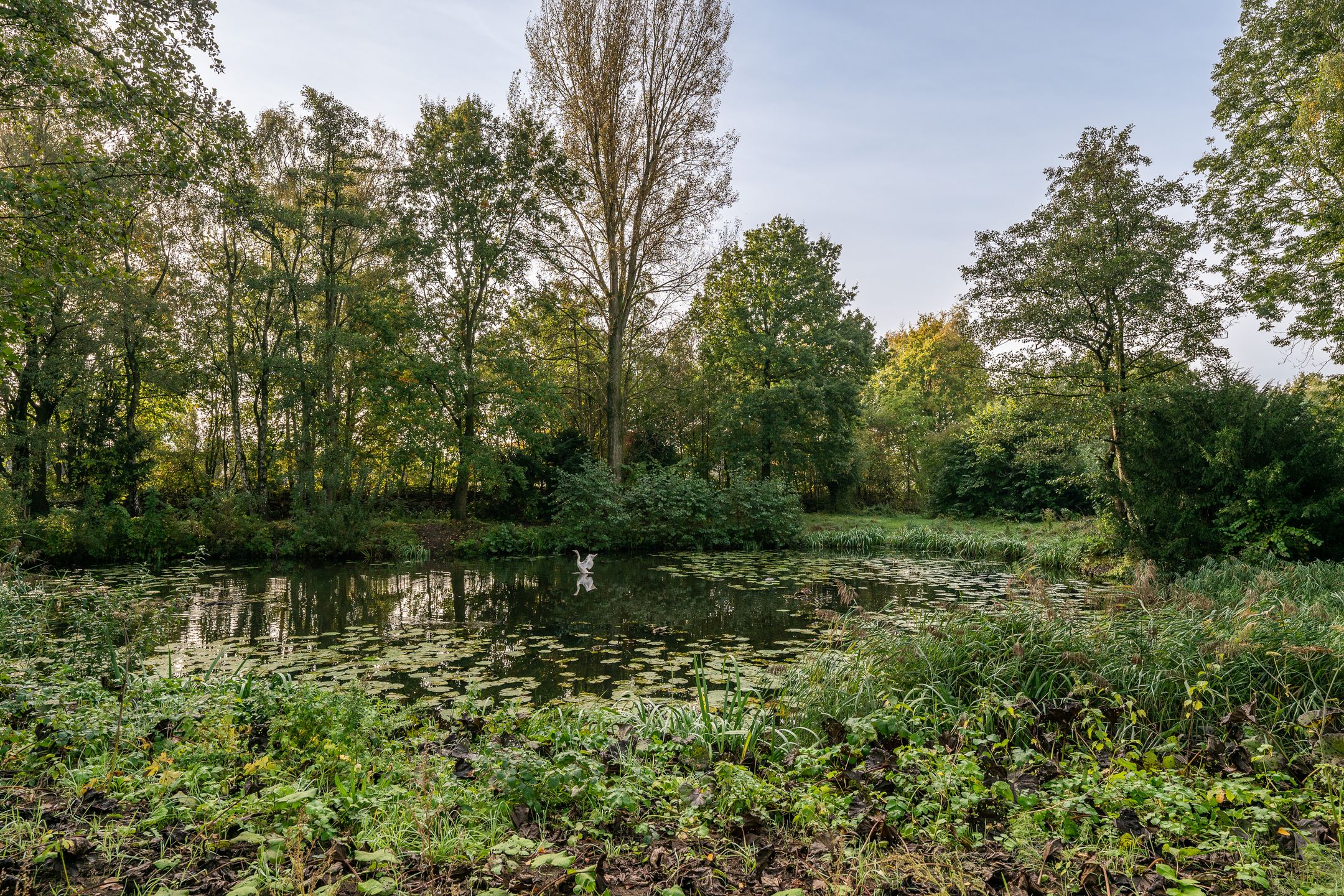 Foto 3 van Moerven 133