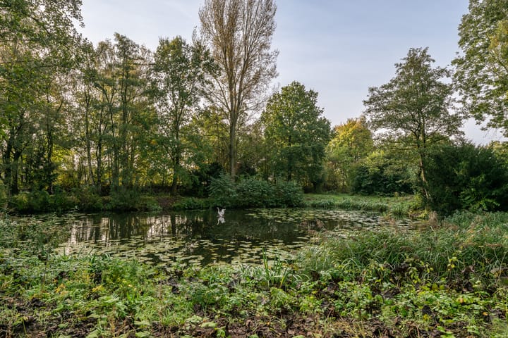 Photo 3 of Moerven 133