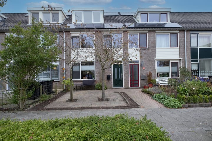 undefined main image