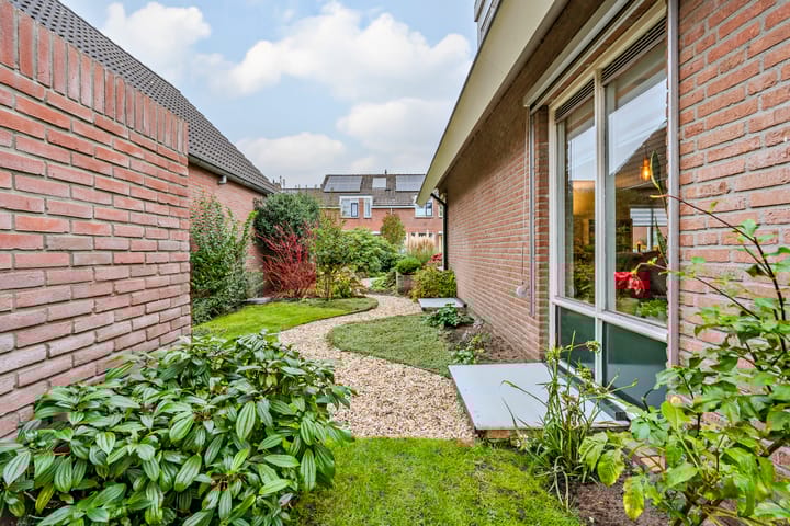 Foto 53 van de Dinkel 2