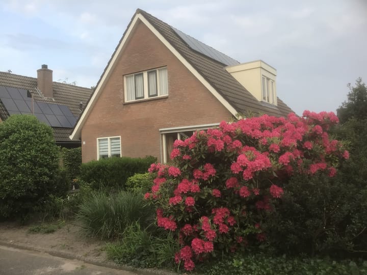 Foto 60 van de Dinkel 2