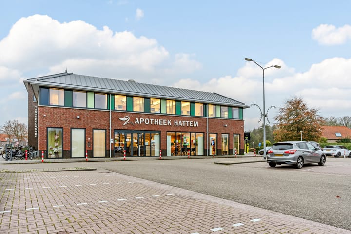 Foto 62 van de Dinkel 2