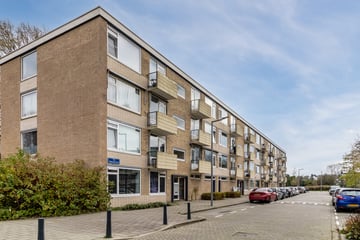 Van Opbergenstraat thumbnail