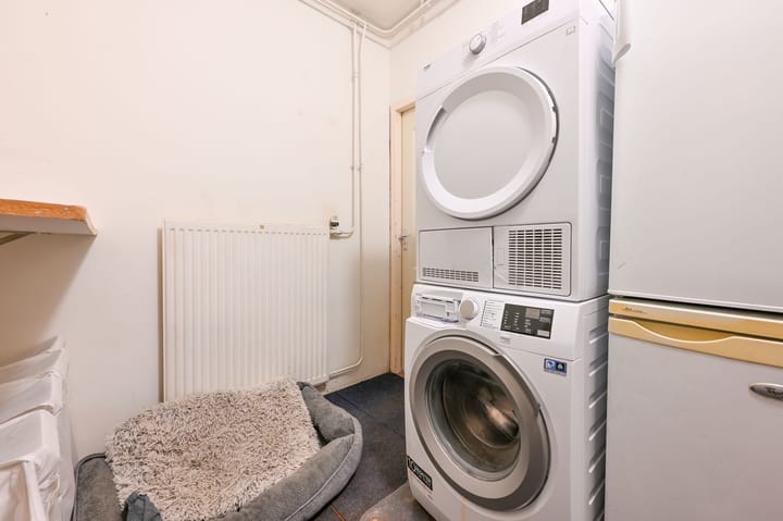 Foto 13 van Kolkrijst 32