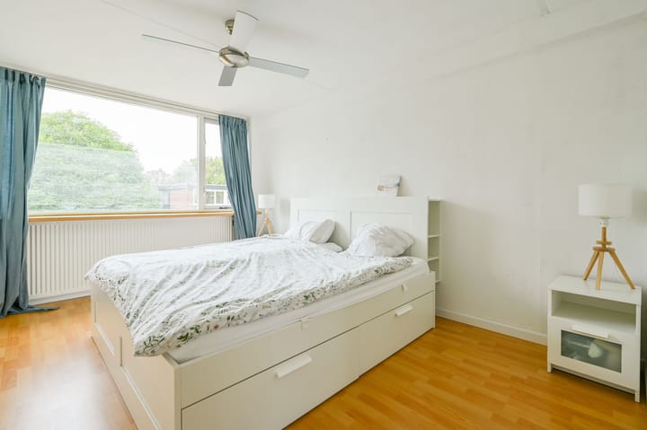 Foto 19 van Kolkrijst 32