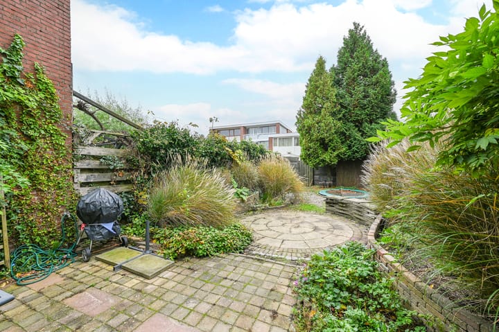 Foto 31 van Kolkrijst 32