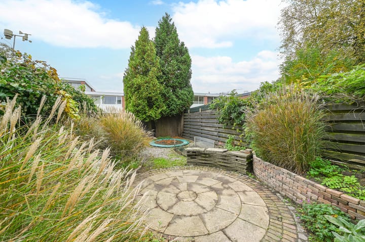 Foto 32 van Kolkrijst 32