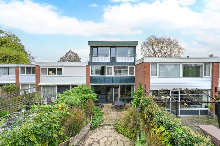 Foto 33 van Kolkrijst 32