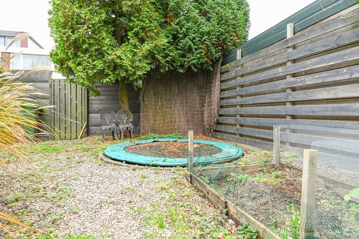 Foto 35 van Kolkrijst 32