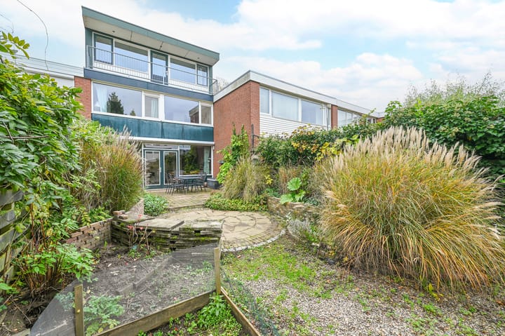 Foto 36 van Kolkrijst 32