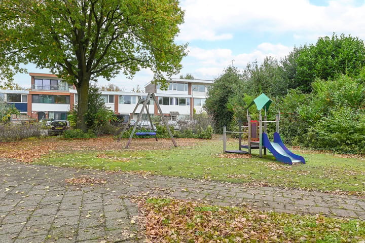 Foto 40 van Kolkrijst 32