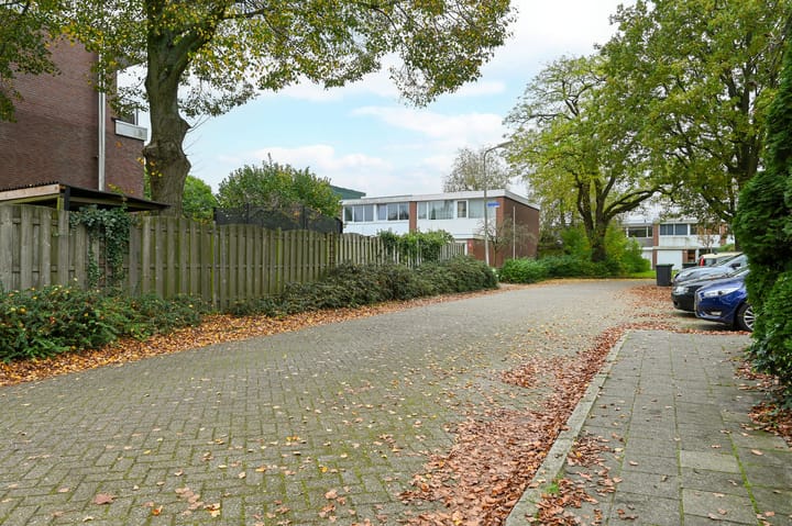 Foto 41 van Kolkrijst 32