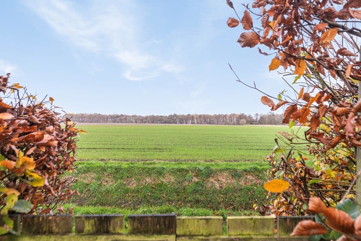 Bekijk foto 36 van Meenteweg 79