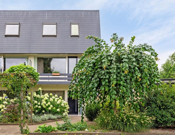 Foto 1 van Bernhardstraat 47