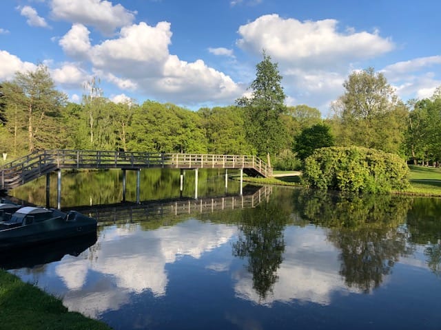 Foto 52 van Bernhardstraat 47