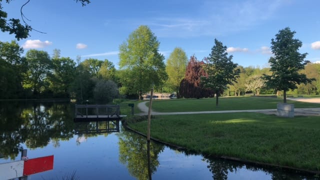 Foto 53 van Bernhardstraat 47