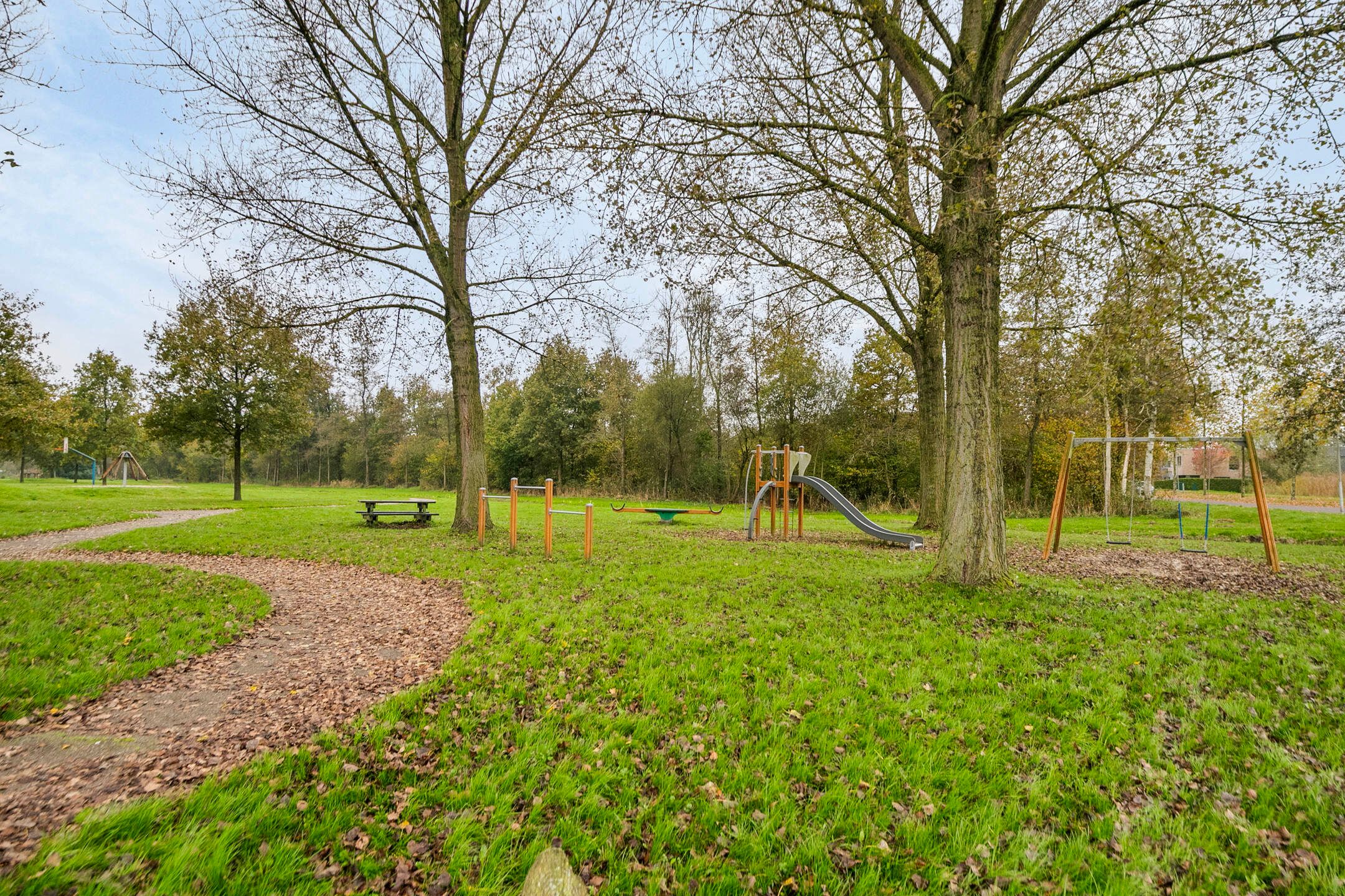 Foto 45 van Grasland 77