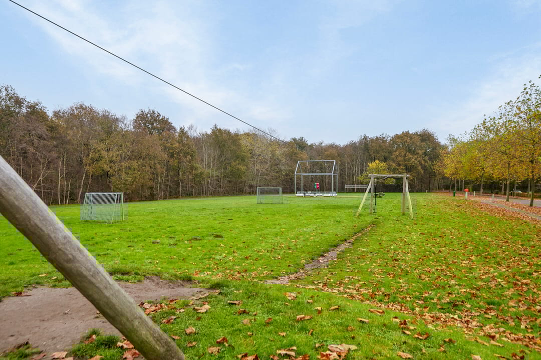 Foto 47 van Grasland 77