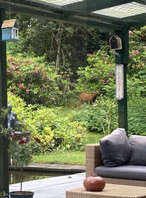 Foto 12 van Langeloërweg 48