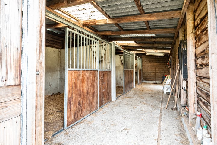 Foto 21 van Hooijersteeg 6