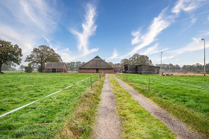 Foto 24 van Hooijersteeg 6