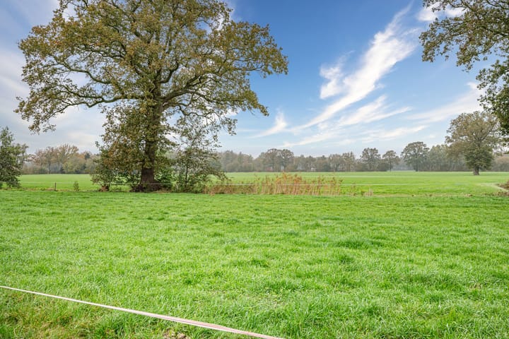 Foto 27 van Hooijersteeg 6