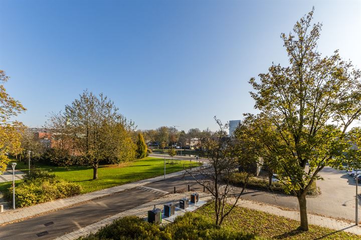 Bekijk foto 3 van Graan voor Visch 16225