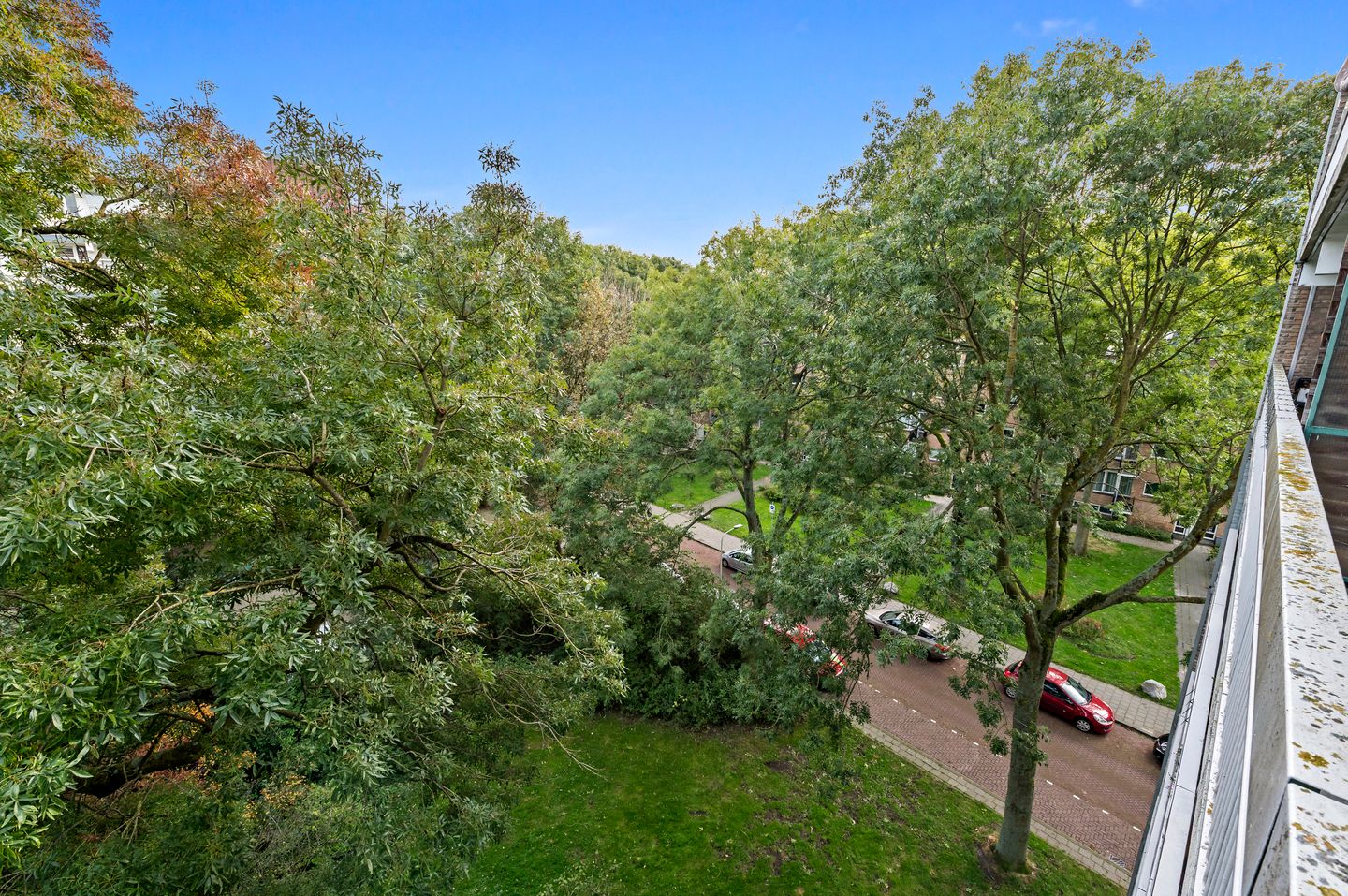 Foto 20 van Isabellaland 1028