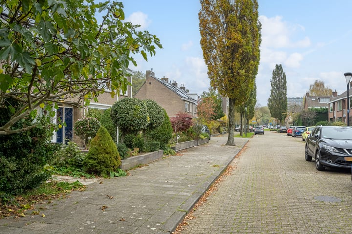 Bekijk foto 44 van Willem Frederikstraat 92