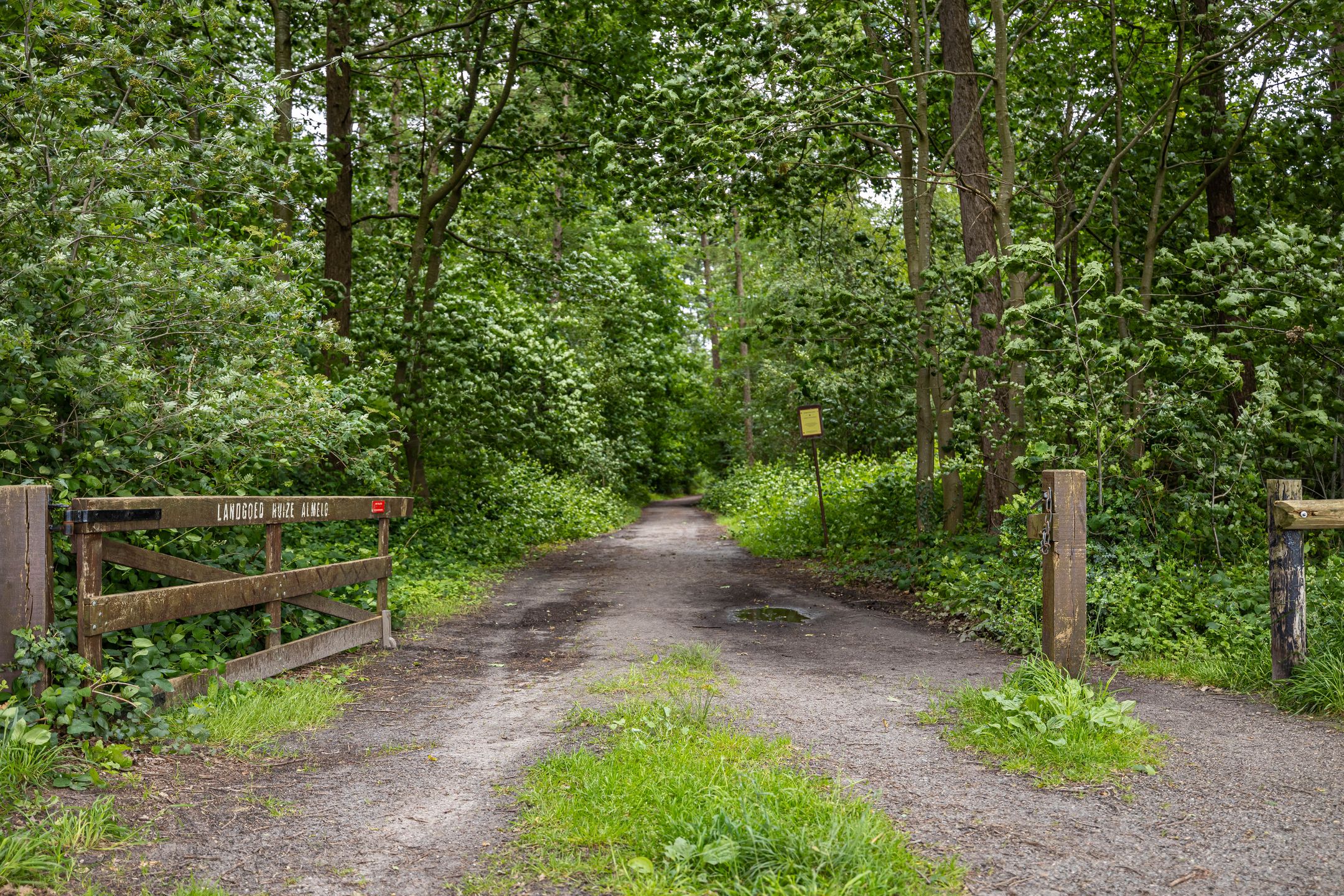 Foto 42 van Broderie 7