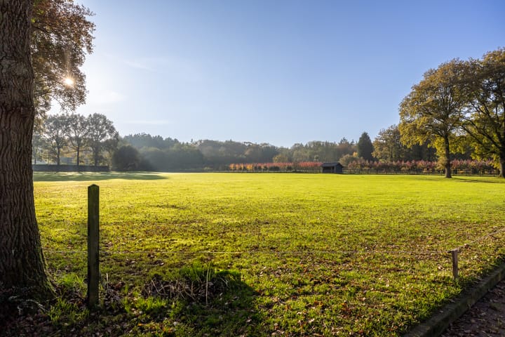 Foto 27 van Luitjesweg 3