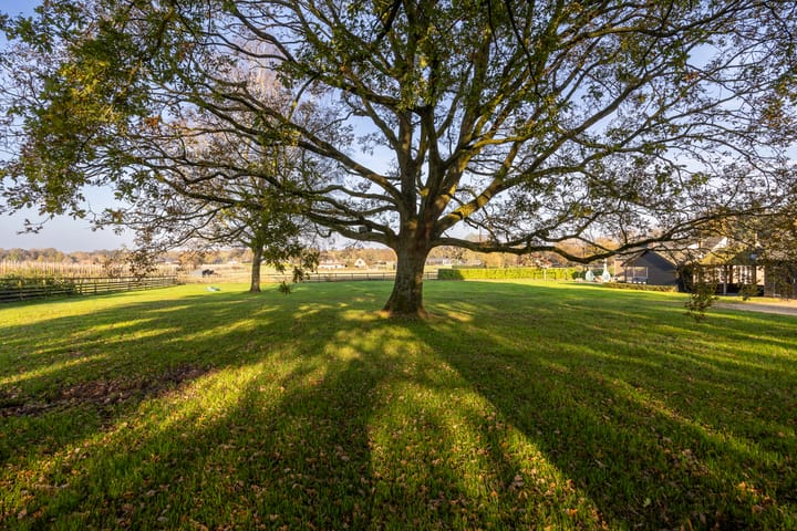 Foto 39 van Luitjesweg 3