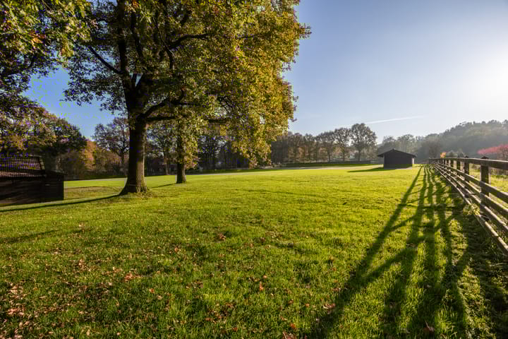 Foto 40 van Luitjesweg 3