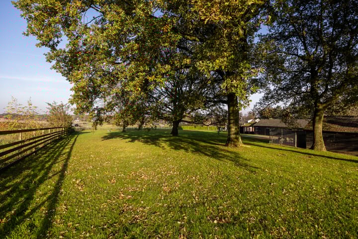 Foto 41 van Luitjesweg 3