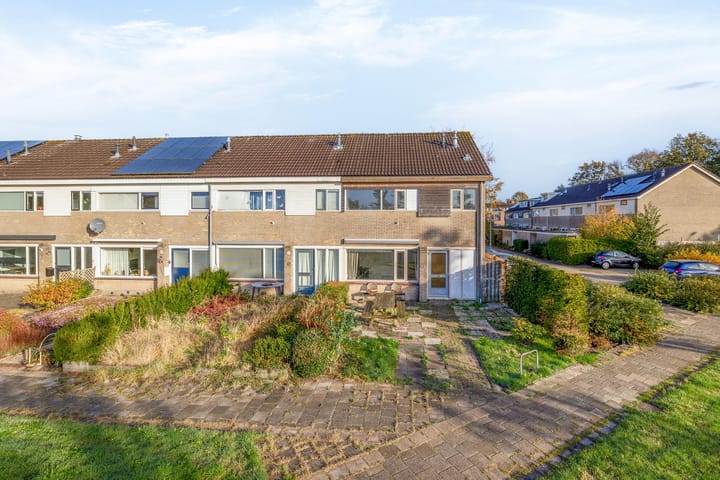 Foto 5 van Zwemmer 85