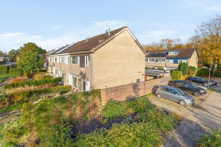 Foto 30 van Zwemmer 85